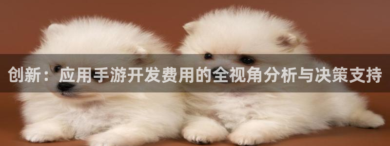恒盛娱乐下载：创新：应用手游开发费用的全视角分析与决策支持