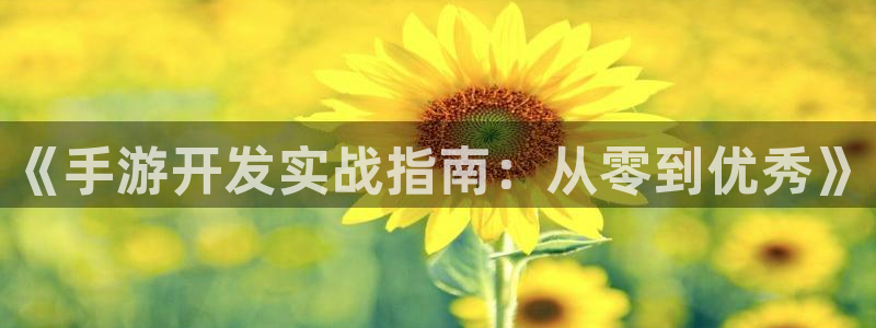 恒盛娱乐登陆：《手游开发实战指南：从零到优秀》