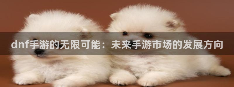 恒盛娱乐平台：dnf手游的无限可能：未来手游市场的发展方向
