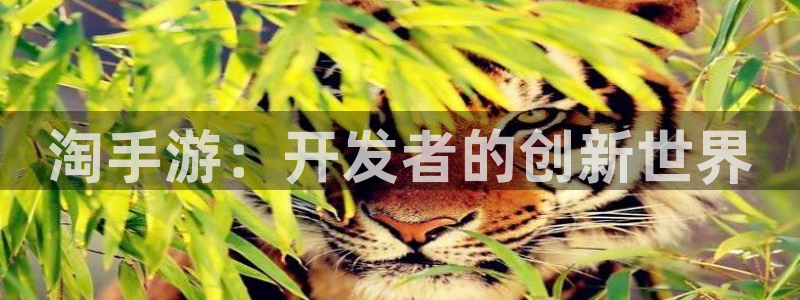 恒盛娱乐登陆：淘手游：开发者的创新世界