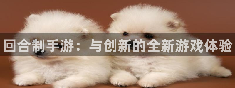 恒盛娱乐首页：回合制手游：与创新的全新游戏体验