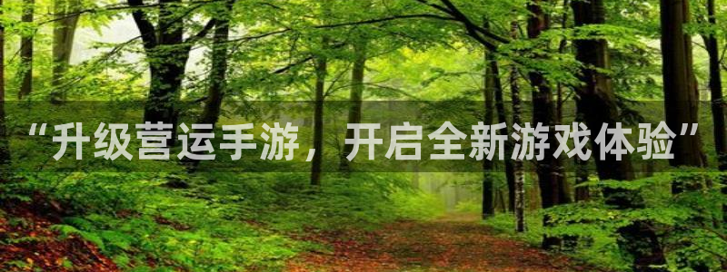 恒盛娱乐首页：“升级营运手游，开启全新游戏体验”