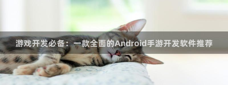 恒盛娱乐