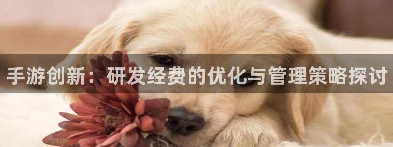 恒盛娱乐官网：手游创新：研发经费的优化与管理策略探讨