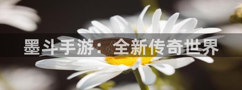 恒盛娱乐官网：墨斗手游：全新传奇世界