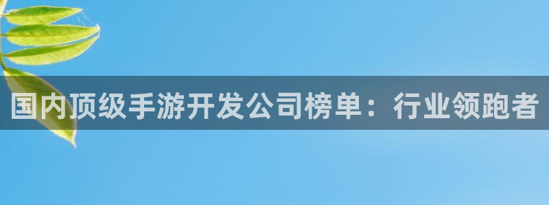 恒盛娱乐：国内顶级手游开发公司榜单：行业领跑者