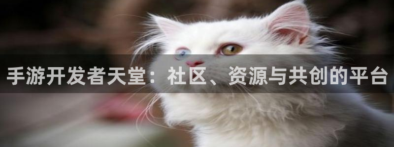 恒盛娱乐首页：手游开发者天堂：社区、资源与共创的平台